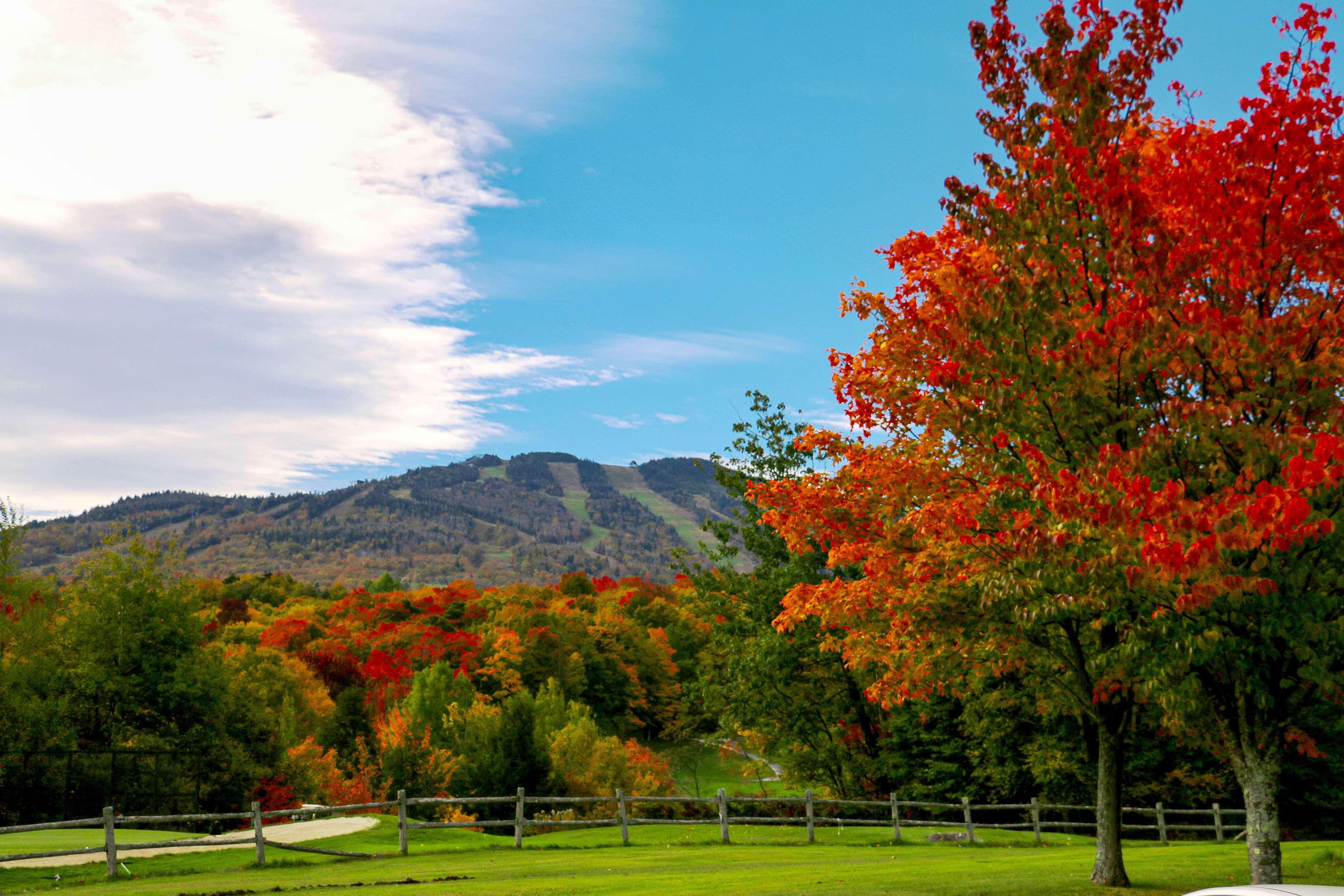 Killington Mountain Lodge, Tapestry Collection By Hilton Exterior foto